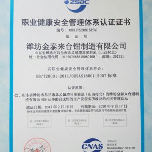 職業健康安全管理體系認證證書